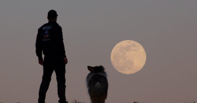 Velký Měsíc nad obzorem. Foto: Tomáš Slovinský.