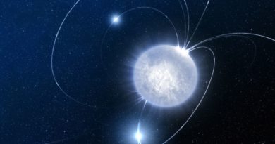Opavští fyzikové měří „obezitu“ neutronových hvězd. Navazují na výzkum legendárního Kipa Thorna Neutronové hvězdy mají mimořádně silná magnetická pole. Umělecká představa: ESO/L.Calçada.