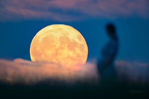 Východ úhlově velkého Měsíce v úplňku je vždy pozoruhodnou podívanou. Zjev „velkého“ Měsíce je ale ve velké míře důsledkem optického klamu. Foto: Petr Horálek/Fyzikální ústav v Opavě.