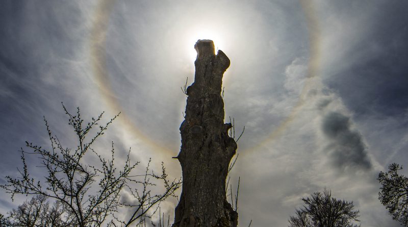 Snímka dňa NASA z 13. januára 2024 s názvom "Kruh okolo Slnka". Foto: Radoslav Zboran.