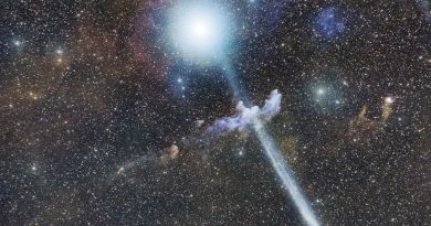 Snímek „Kometa R3 PanSTARRS před Rigelem“. Foto: Martin Mašek/FZÚ AV ČR, Jakub Kuřák/KaL ČAS.